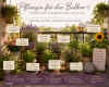 Pflanzen-fuer-den-Balkon01-2.jpg (617568 Byte)